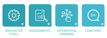 Icons for features of custom solutions